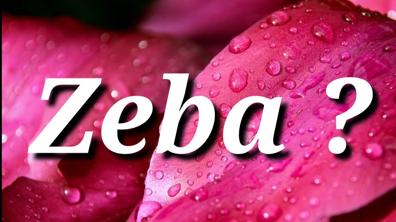zeba name meaning