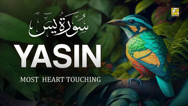 Surah Yasin PDF